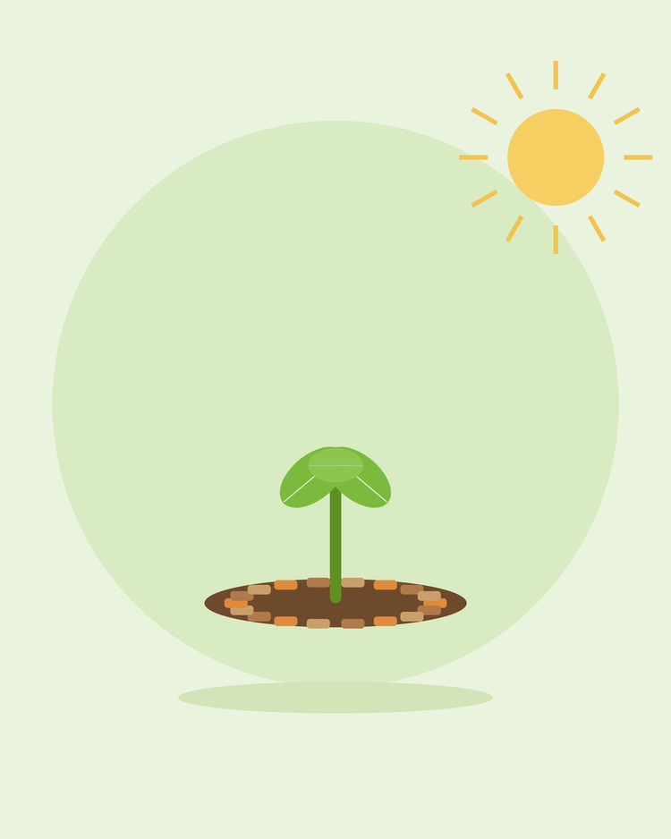 Ilustración plana de una plántula rodeada de chips de mantillo — acolchado y control de malas hierbas, de SeedsChoice