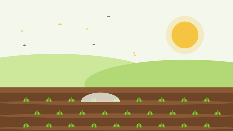 Siembra de otoño de anuales resistentes — ilustración plana de surcos de siembra con jóvenes rosetas verdes bajo un túnel de vellón y un sol bajo de otoño