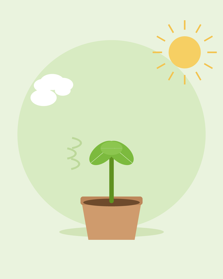 Flat illustration of a potted seedling outdoors in sun and breeze — hardening off seedlings, from SeedsChoice