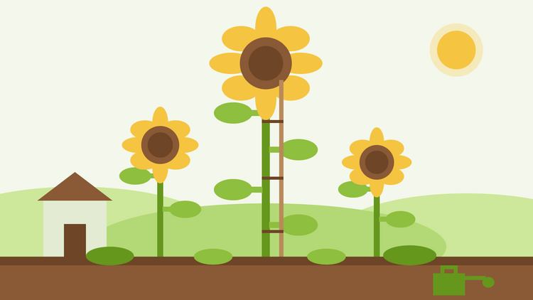 Cómo cultivar girasoles gigantes — ilustración plana de un girasol tutorado de gran altura junto a girasoles más pequeños y un cobertizo de jardín para dar escala