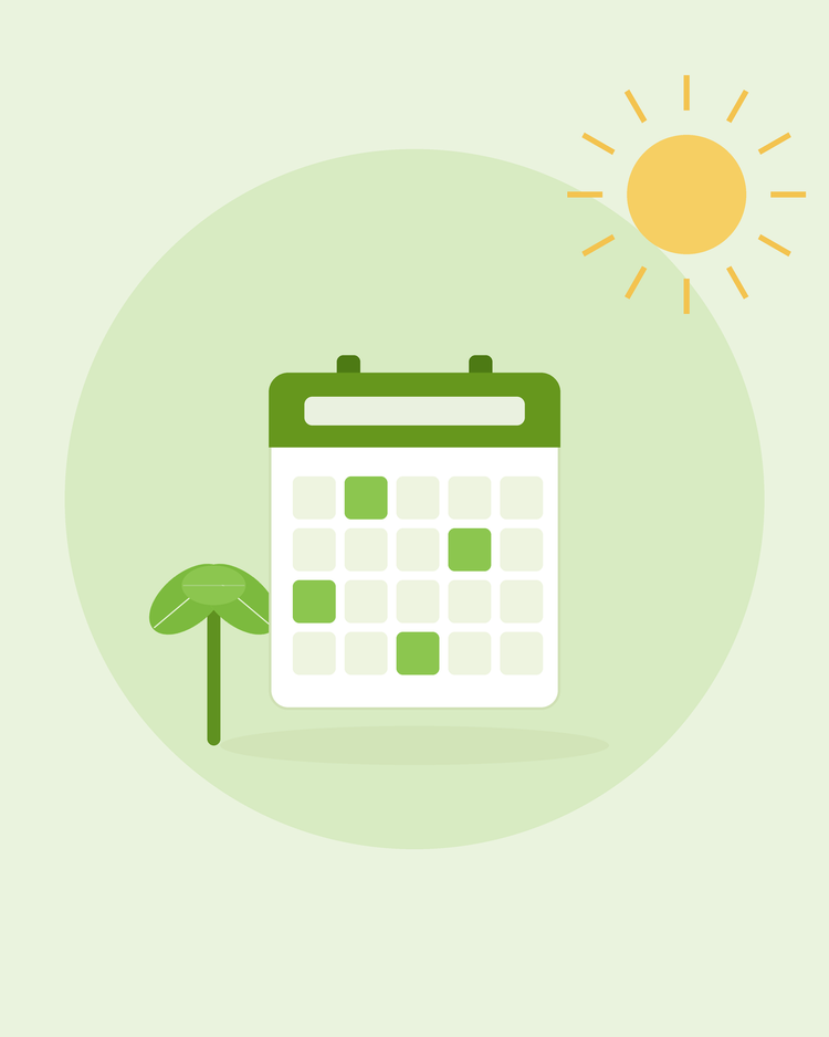 Ilustração plana de um calendário de parede com um rebento — calendário de sementeira mês a mês, da SeedsChoice