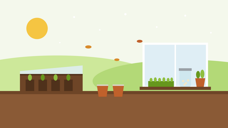 What to sow in November — flat illustration of seedlings in a cold frame, perennial pots outdoors and a windowsill with microgreens, a sprouting jar and herbs