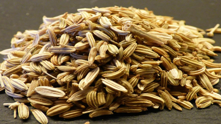 Semillas de hierbas – SeedsChoice