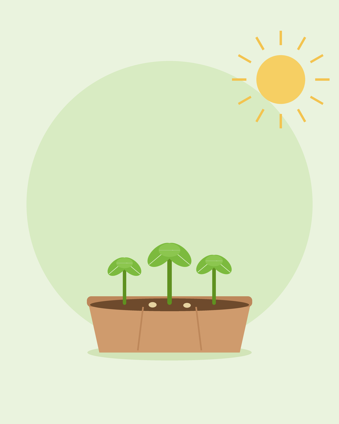 Flat illustration of a seed tray with three young seedlings in the sun — growing from seed for beginners, from SeedsChoice