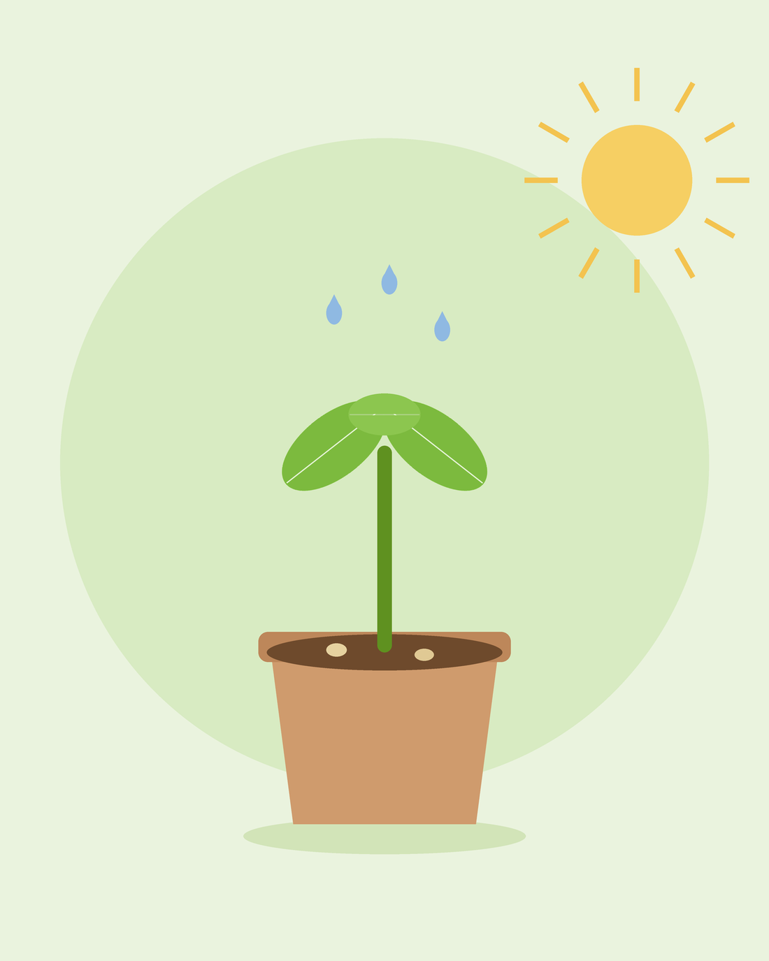 Ilustração plana de uma plântula jovem a brotar num vaso sob o sol com gotas de água — germinação de sementes da SeedsChoice