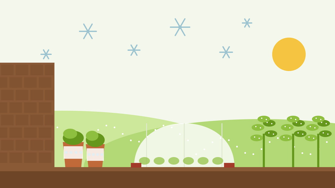 Como proteger as plantas da geada — ilustração plana de um túnel de manta térmica sobre um canteiro de hortícolas, vasos embrulhados junto à parede de uma casa e couve-frisada coberta de cristais de gelo