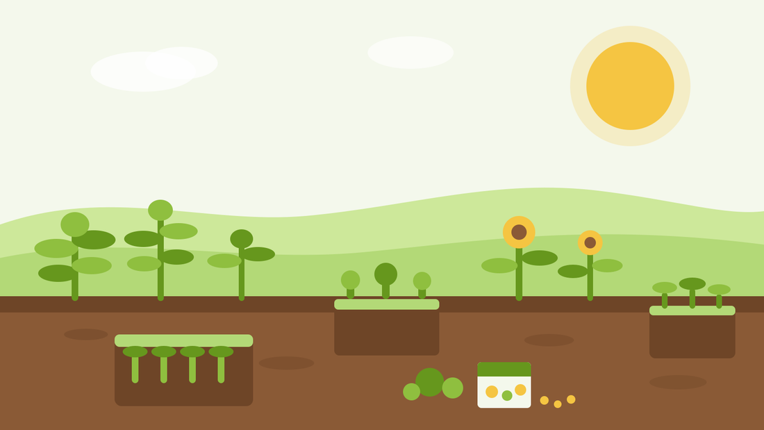 Qué sembrar en agosto — ilustración plana de bandejas de semillero con plántulas de ensalada, girasoles y un sobre de semillas en un jardín de verano