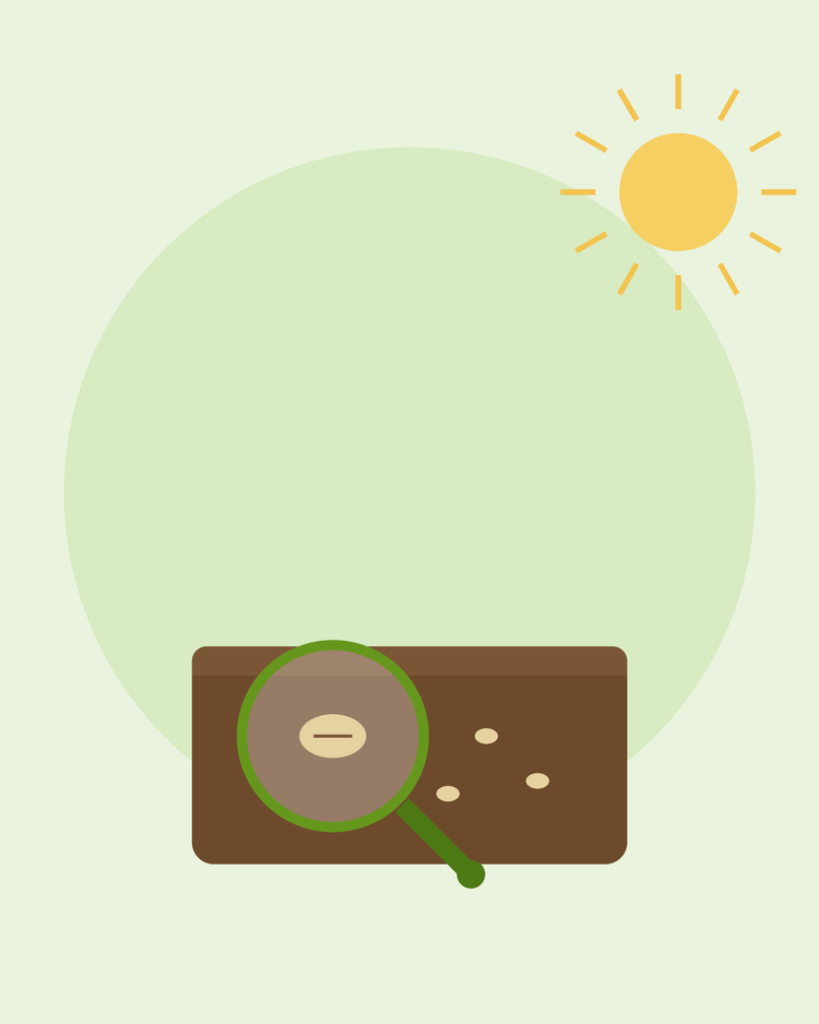 Ilustración plana de una lupa inspeccionando una semilla en la tierra — qué hacer cuando las semillas no germinan, de SeedsChoice