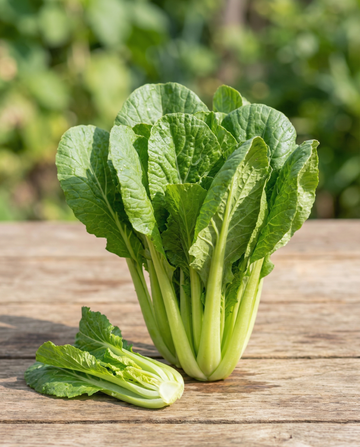 Grelos Namenia (Brassica rapa) – semillas ecológicas de hortaliza anual de SeedsChoice
