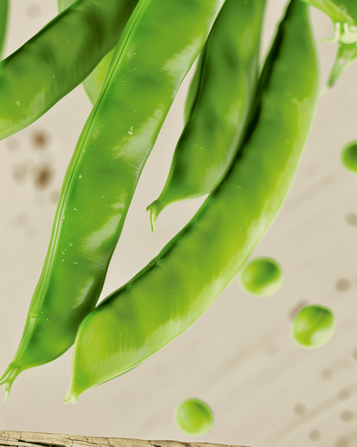 Semillas ecológicas de guisante dulce Norli (Pisum sativum) – hortaliza anual