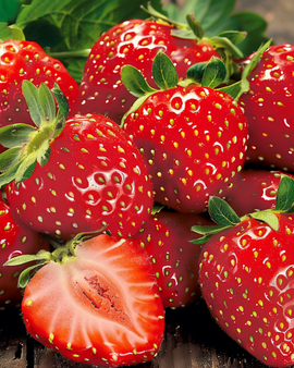 Semillas de fresa Grandian F1 Fragaria Ananassa anual