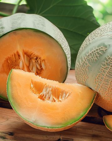 Sementes de melão Charentais (Cucumis melo) – legume anual