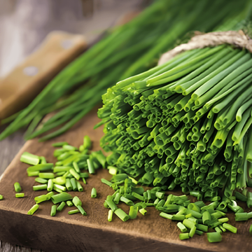 Semillas de cebollino Prager Medium Fine (Allium schoenoprasum) – hierba perenne