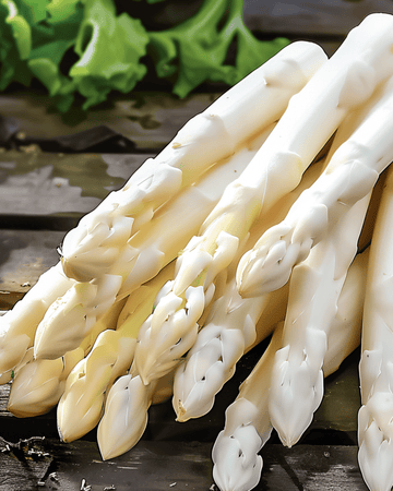 Early Argenteuil seeds (Asparagus officinalis) – perennial