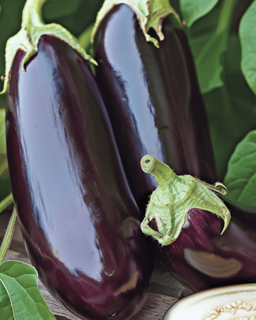 Berenjena Violetta Lunga 2 semillas (Solanum melongena) – hortaliza anual