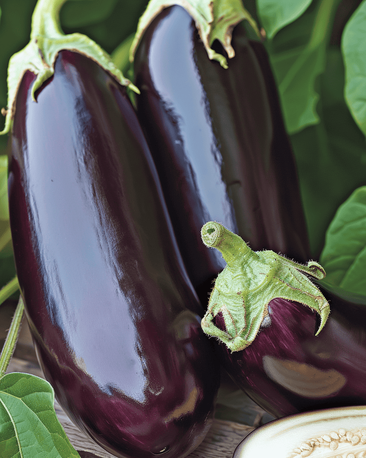 Eggplant Violetta Lunga 2 seeds (Solanum melongena) – annual vegetable