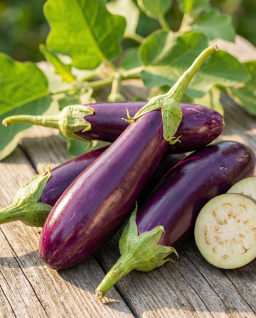Berenjena Violetta Lunga 2 (Solanum melongena) – semillas de verdura anual de SeedsChoice