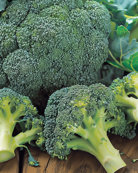 Semillas de brócoli Calabrese Natalino Brassica oleracea anual