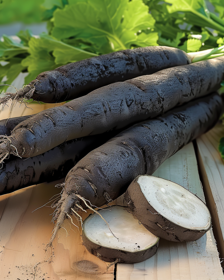 Semillas Duplex (Scorzonera hispanica) – hortaliza anual