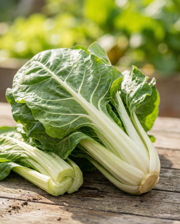 Acelga Lucullus (Beta vulgaris) – semillas de hortaliza anual de SeedsChoice