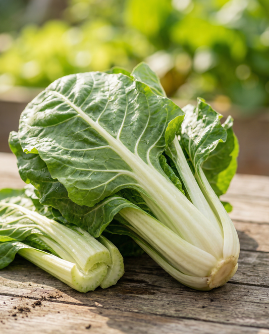 Acelga Lucullus (Beta vulgaris) – semillas de hortaliza anual de SeedsChoice