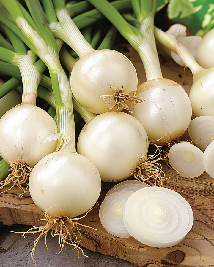 Semillas de cebolla encurtidora (Allium cepa) – verdura anual
