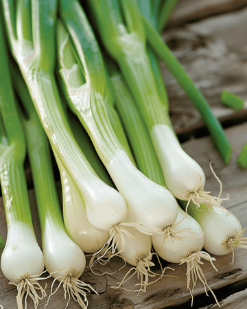 Bunching Onion White Lisbon seeds (Allium cepa) – annual vegetable