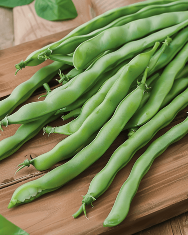 Semillas de judías verdes de enrame Neckarkönigin (Phaseolus vulgaris) – verdura anual