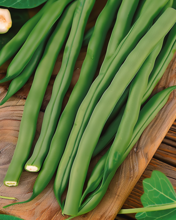 Semillas de judía enana Miracle (Phaseolus vulgaris) – hortaliza anual