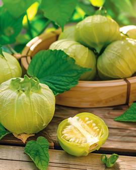 Semillas de tomatillo Physalis Ixocarpa hortaliza anual