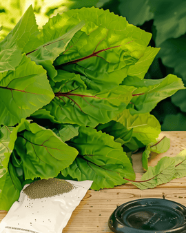 Semillas de espinaca china Amaranthus Dubius vegetal anual Bayam