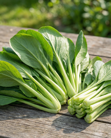 Komatsuna Mustard Spinach (Brassica rapa) – vegetable seeds from SeedsChoice