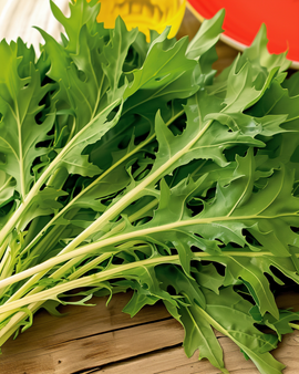 Semillas de mizuna Brassica rapa verdura