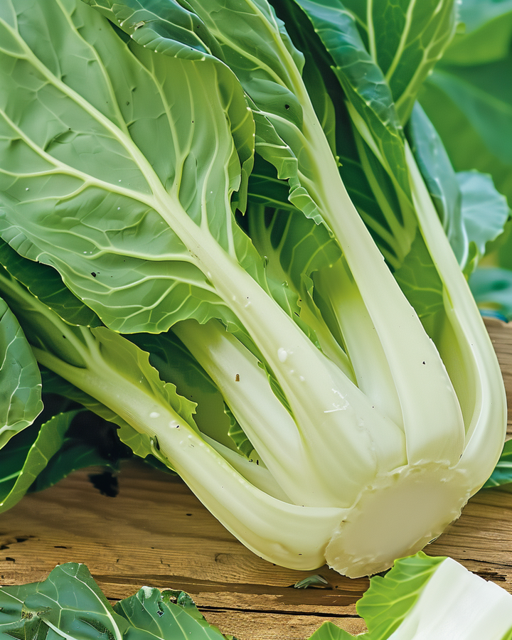 Semillas de pak choi (Brassica chinensis) – hortaliza anual
