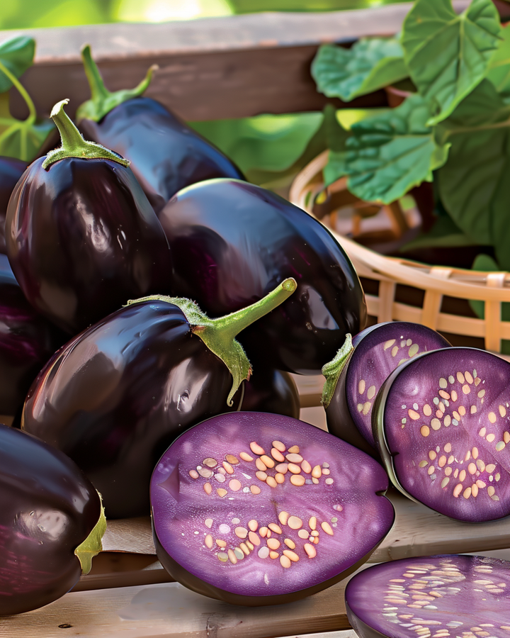 Semillas de berenjena mini Patio Baby F1 (Solanum melongena) – hortaliza anual
