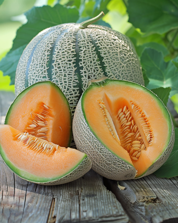 Semillas de melón Zatta Honeydew (Cucumis melo) – hortaliza