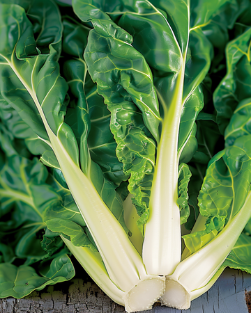 Semillas de acelga Verde A Costa Bianca (Beta vulgaris) – hortaliza