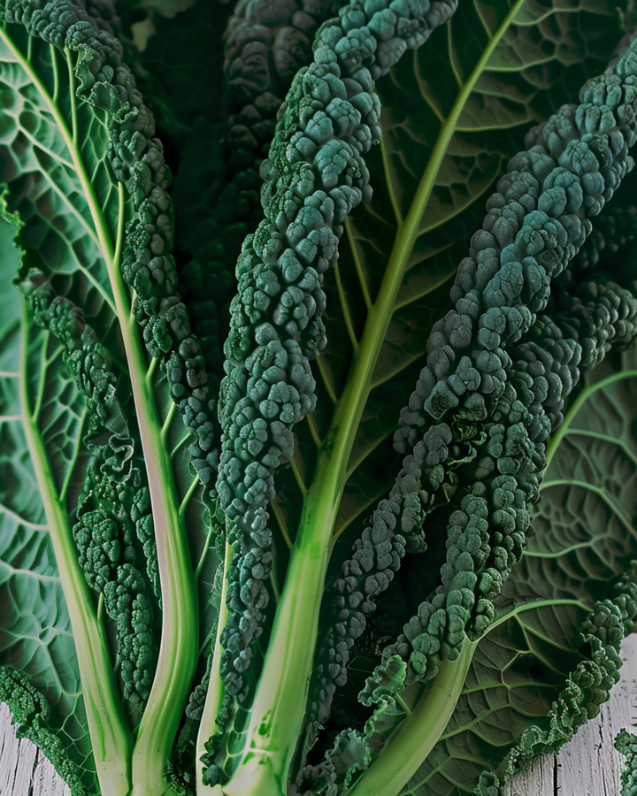 Sementes de couve Nero Di Toscana (Brassica oleracea) – vegetal anual