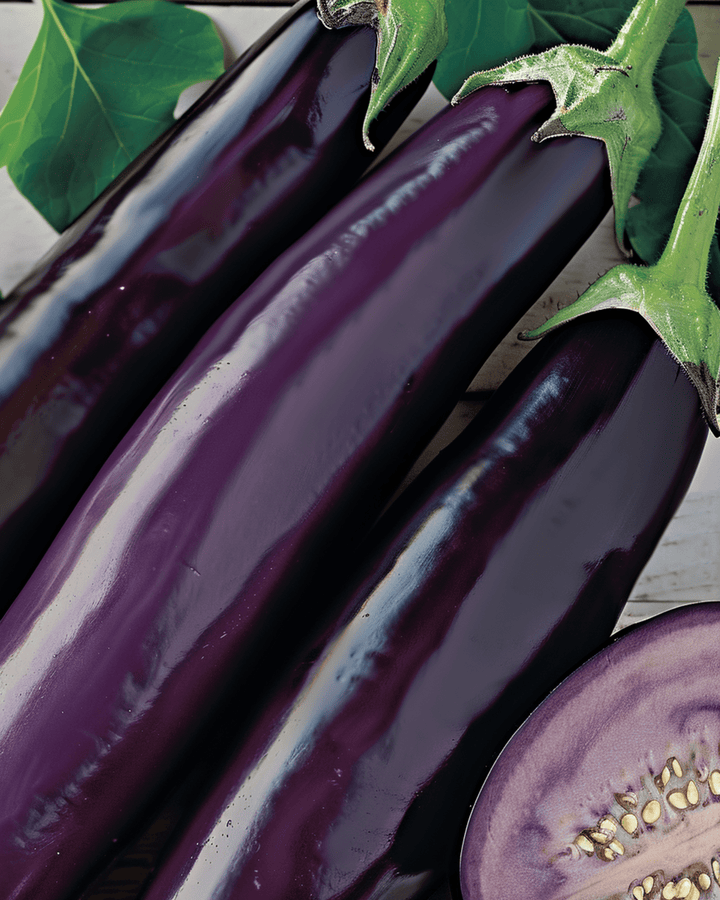 Sementes de beringela Violetta Lunga Medium Early (Solanum melongena) – hortaliça