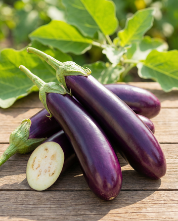 Berenjena Violetta Lunga de maduración media-temprana (Solanum melongena) – semillas de hortaliza de SeedsChoice
