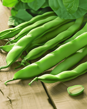 Sementes de Feijão-trepador Raadsheer 25g (Phaseolus vulgaris) – trepadeira anual