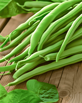 Sementes de Feijão-verde Anão Soliman Phaseolus Vulgaris — Variedade Anual