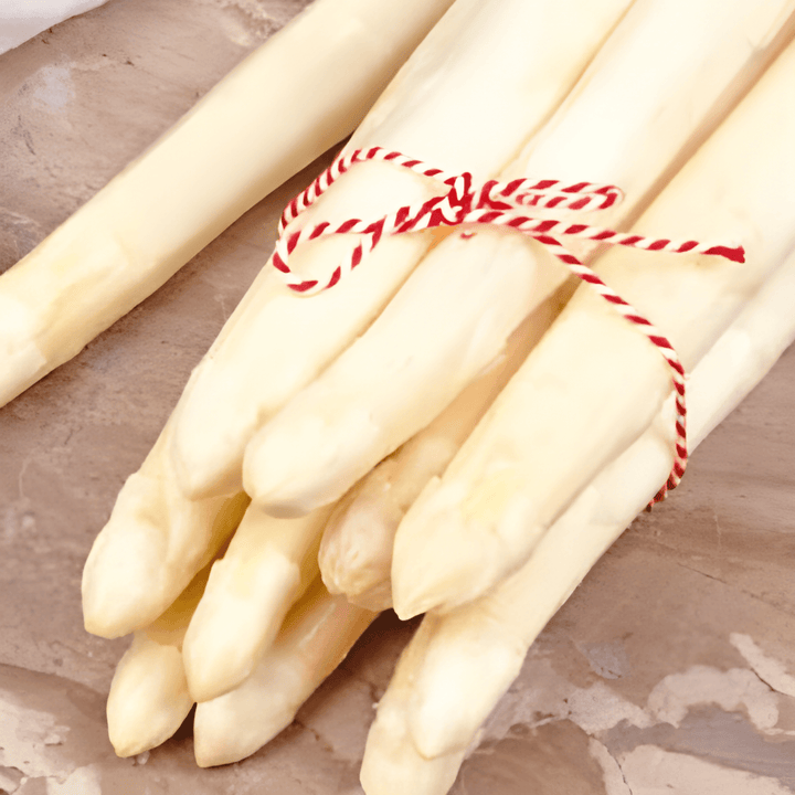 Semillas Argenteuil (Asparagus officinalis) – perenne