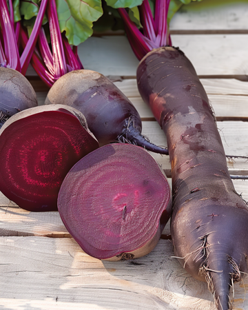 Semillas de remolacha Cylindra (Beta vulgaris) – hortaliza anual