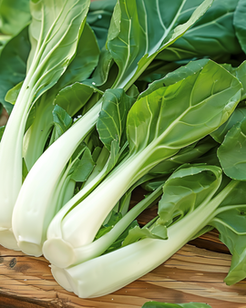 Semillas de pak choy japonés Brassica Campestris variedad anual Taisai