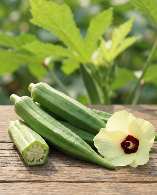 Semillas de okra Clemson Spineless (Abelmoschus esculentus) – semillas de hortaliza anual de SeedsChoice