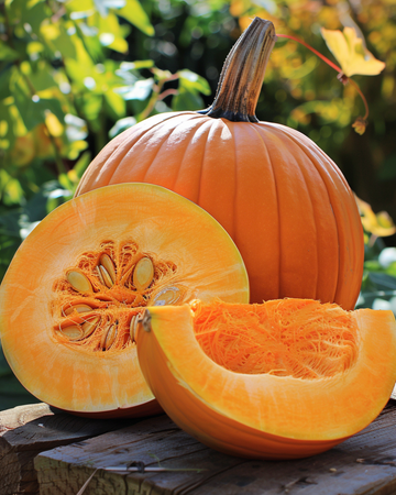 Semillas de calabaza Atlantic Giant (Cucurbita maxima) – hortaliza anual