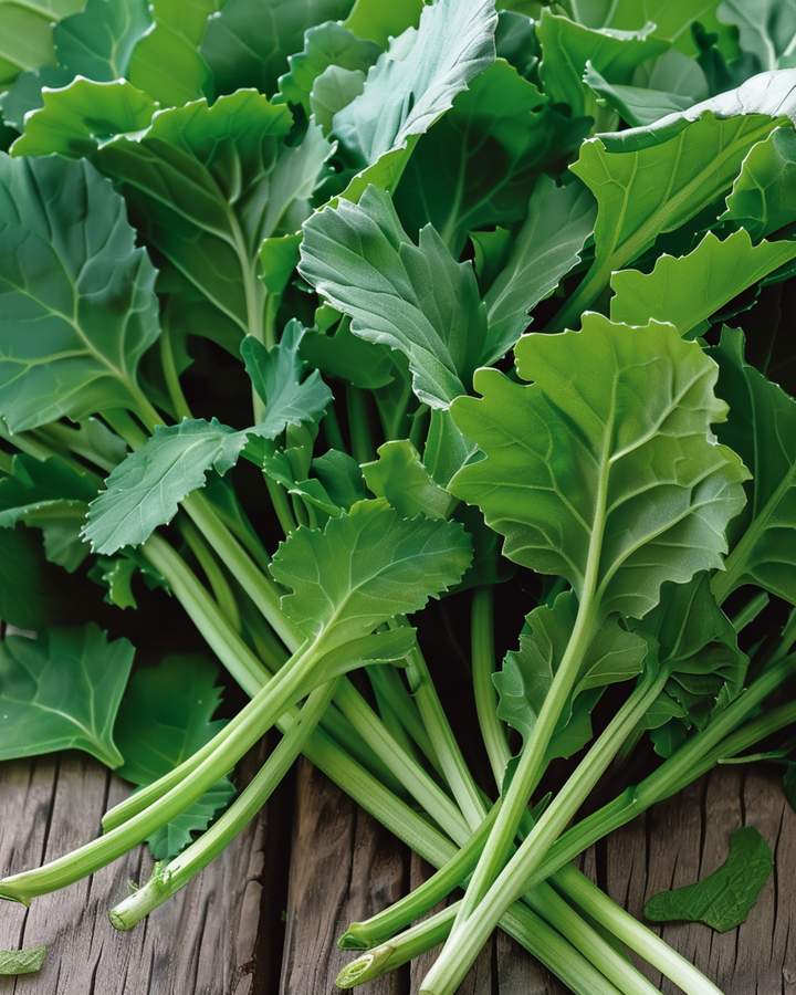 Semillas de hojas de nabo (Brassica rapa) – hortaliza anual