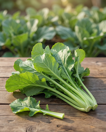 Namenia Greens (Brassica rapa) – semillas de hortaliza anual de SeedsChoice