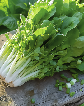 Semillas de lechuga de hoja Witte Dunsel Lactuca Sativa anual para ensaladas